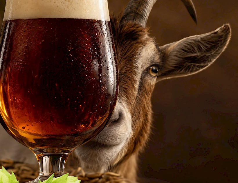 Bockbier-Tasting